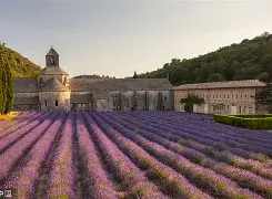亚博体育登录入口-法国杯倒计时，毕尔巴鄂竞技今晨豪取连胜，细节引发关注，震撼外界，赛季目标并未改变